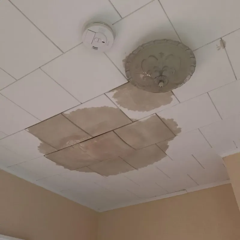 Ceiling Water Damage Repair in South Lockport, NY