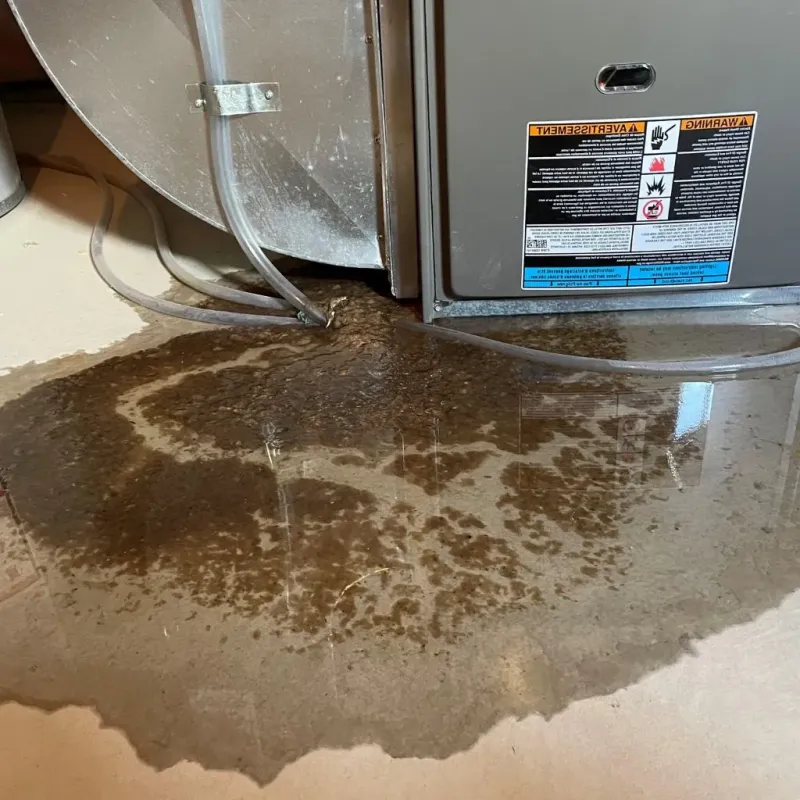 Pipe Burst and Leak Restoration in South Lockport, NY