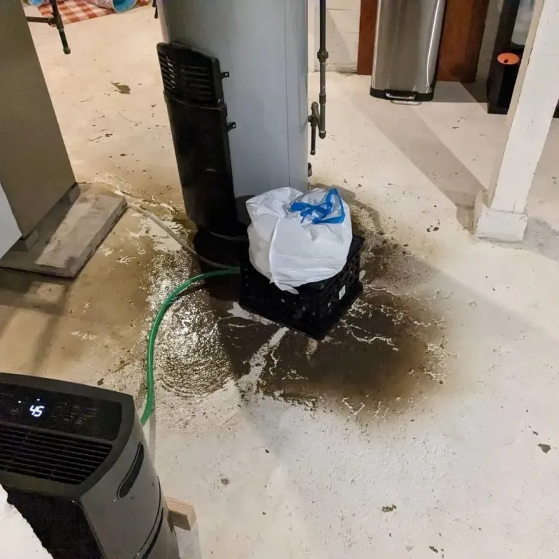 Sewage Backup Cleanup Service in South Lockport, NY